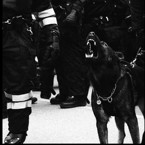 日本性感少妇毛片播放视频
